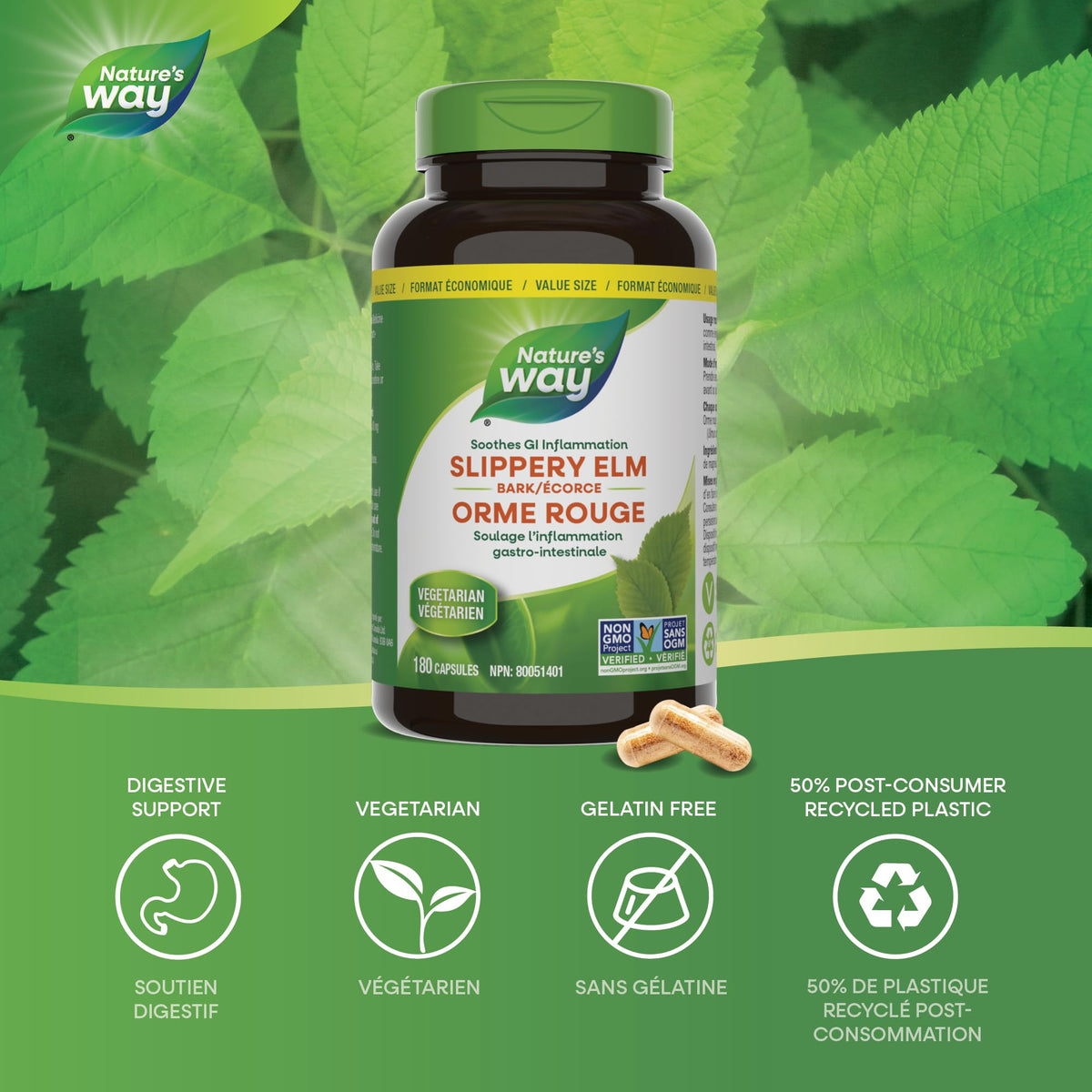 Nature’s Way Slippery Elm Bark – Traditionally Used to Soothe GI Tract Inflammation – Vegetarian, Non-GMO– 180 Capsules 🍁 All In One Marketplace Canada