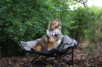 Kuma Little  Lazy Bear Dog Bed