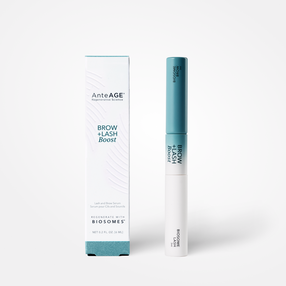 AnteAGE Overnight Brow + Lash Serum