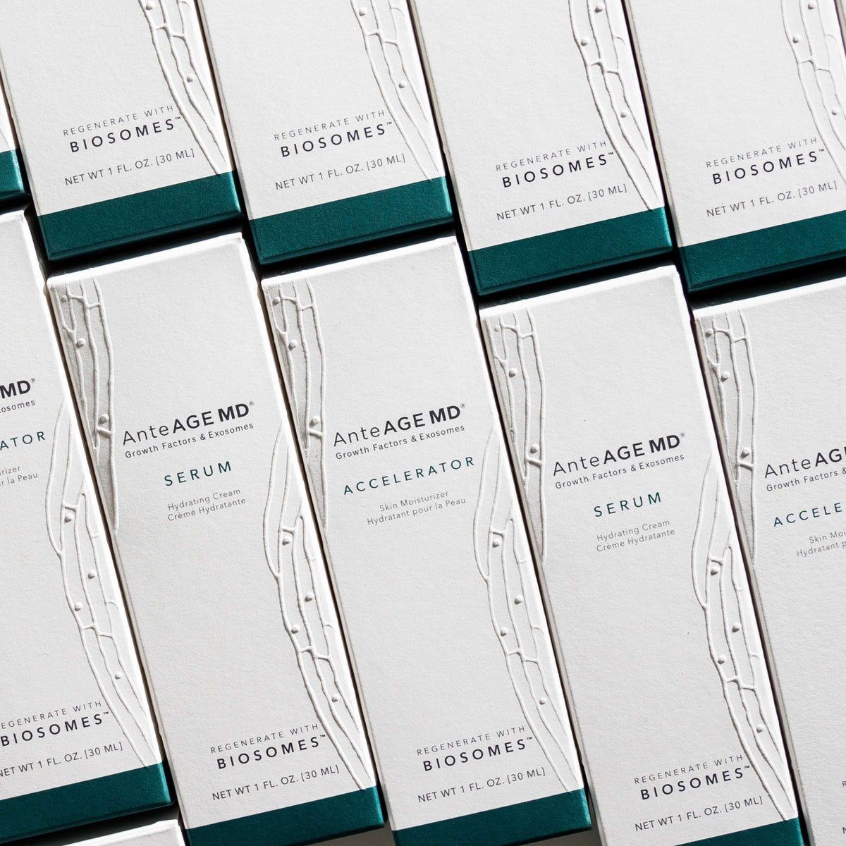 AnteAGE MD Biosome System Serum + Accelerator