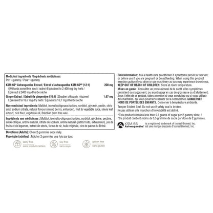 Youtheory ASHWAGANDHA ZERO SUGAR GUMMIES, 60 Gummies